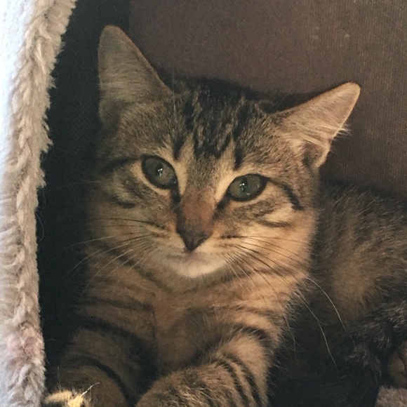 Meet your Posher, Suz - Picture 4 of 16